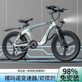 折叠自行车;自行车;山地自行车