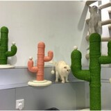 Кошка скалолаза рамка интернет знаменитость кактус кот гнездо Тонгтианьжа Сизаль Кот царапин