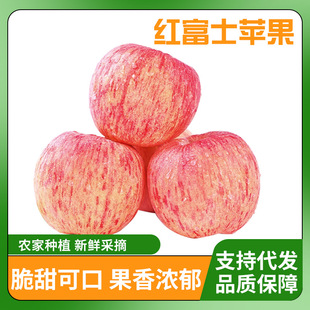 ����̴��l�����ڟ�̨��ϼ�t��ʿ�O�����r�Fժ����ˮ������ˬ����