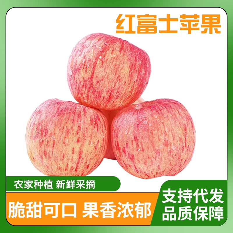 【E-Commerce Dropshipping】Authentic Yantai Qixia Red Fuji Apples, Freshly Picked Seasonal Fruit, Crisp, Sweet and Refreshing