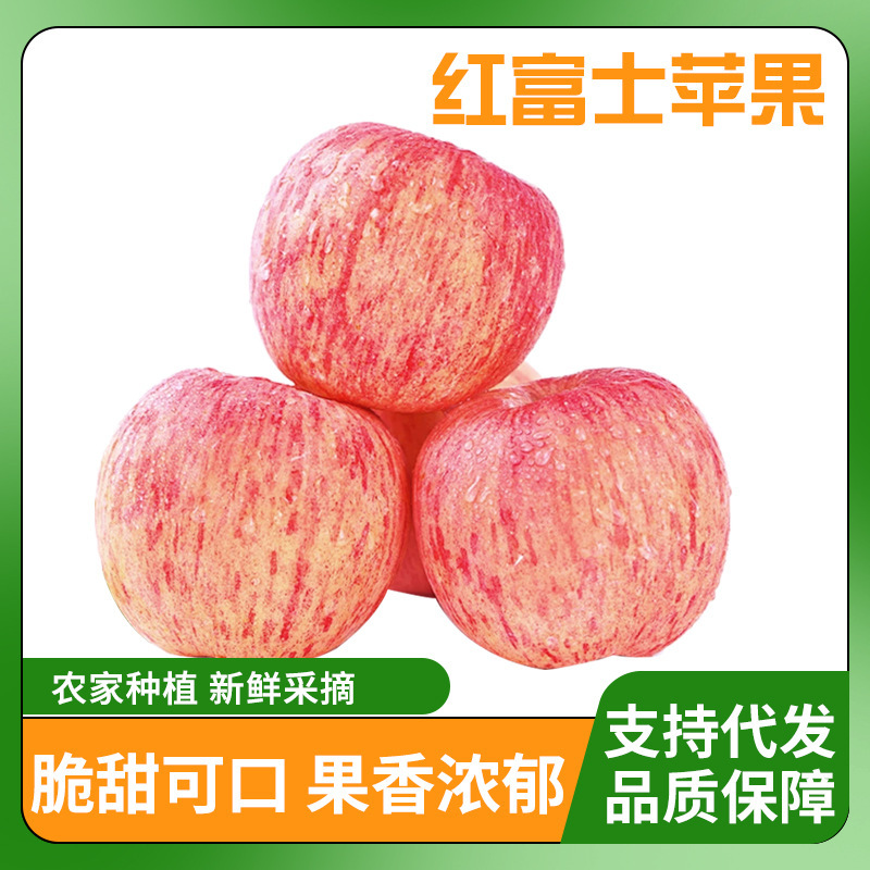 【E-Commerce Dropshipping】Authentic Yantai Qixia Red Fuji Apples, Freshly Picked Seasonal Fruit, Crisp, Sweet and Refreshing