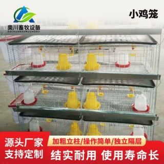 养鸡场笼四层立式小鸡笼育雏笼畜牧农用养鸡设备加粗加密层叠小鸡
