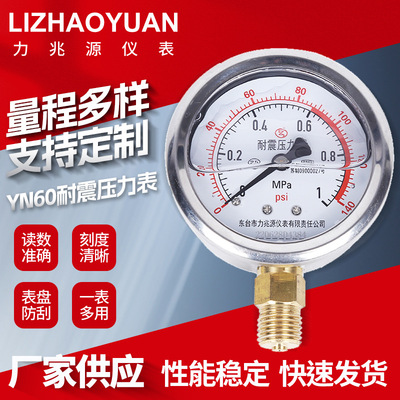 Lizhaoyuan yn60-устойчивый к амортизационному давлению 0-1.6 Гидравлическая гидравлическая гидравлическая вода Давление воды 2,5 МПа давление воздуха оптом