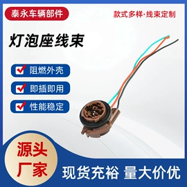 灯头、灯座;其他灯具配件;连接器