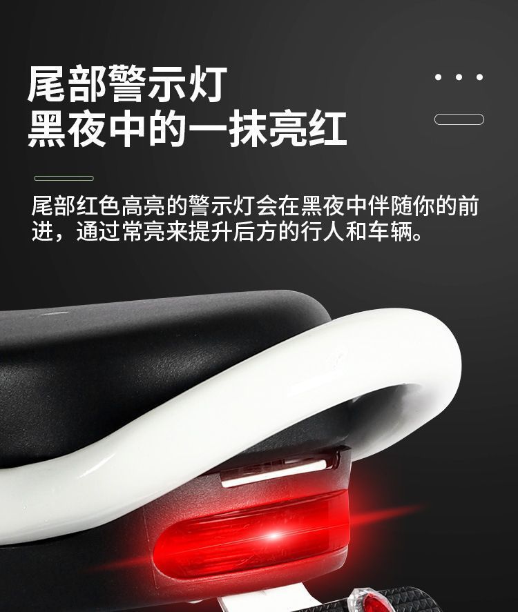 2025 New National Standard Electric Bicycle for Adults