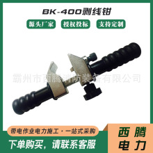 �^�����Є�Ƥ�����ʩ��BK-400�����Q���ʽ�߉���|������