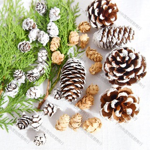 ����Ȼ�ɹ������������Ư�׉T��С���~���Ĕz�����}�Q���b������