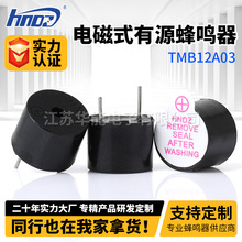 ����ֱ�����ܵ��ʽ��ԴTMB12A03������ 12*9.5 �����ȫ