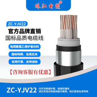 �齭��|��������~оZC-YJV22�ٷ����˼��~2 3 45о16ƽ��늾�