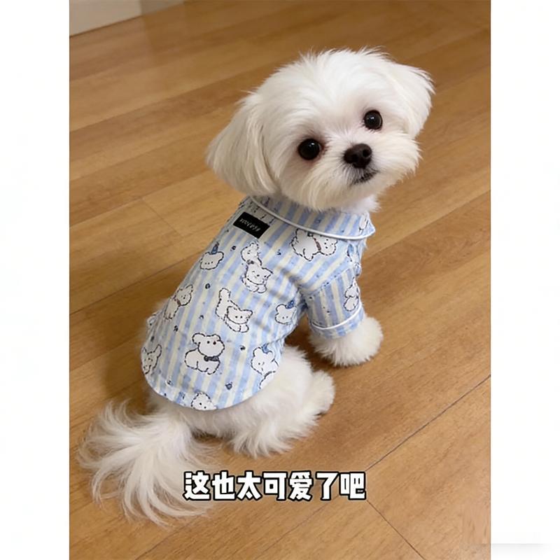 Ropa de Protección Solar para Mascotas Anticaída de Pelo y Ligera para Verano y Hogar image 2
