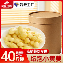 小黄姜四川老坛泡姜农家正宗盐水老黄姜商用炒菜散称调料批发