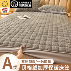 A類の子羊の絨毛のベッドカバーのシーツのセットの3つのセットの冬のベルベットは秋冬のシーツのマットレスの保護カバーを厚くします。