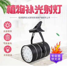 ȫ���Vֲ�����L�a��A�ӟ��lؔ���o�~����ֲ�ﻨ��ˮ���a���