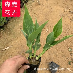 ���˽����� ���^�G����ľ���˽� ���ݻ������l���˽�