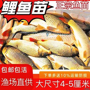 ��Ʒ�N���~�罨���S���~��������ˮ�Bֳ���~���N�����a�~�����