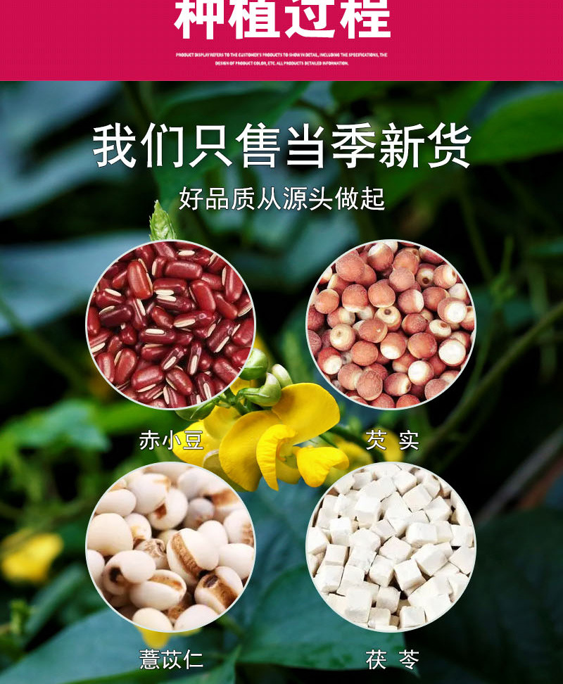 Red Bean & Coix Seed Tea (Chi Xiao Dou Yi Mi Cha) — Adzuki, Coix, Euryale & Poria Herbal Blend in use