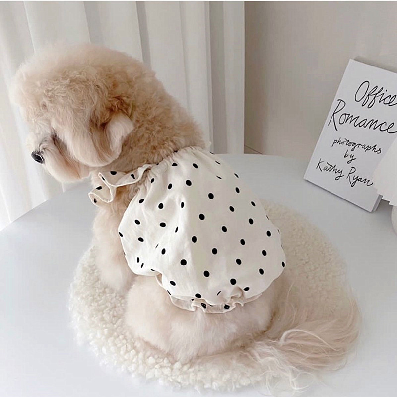 Perro de primavera y verano Estilo coreano lindo estilo princesa vestido de lunares falda de gato ropa de peluche de verano para mascotas