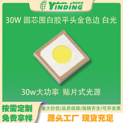 5050 30W 圆芯围白胶平头金色边 白光高亮 聚光手电筒led灯珠贴片