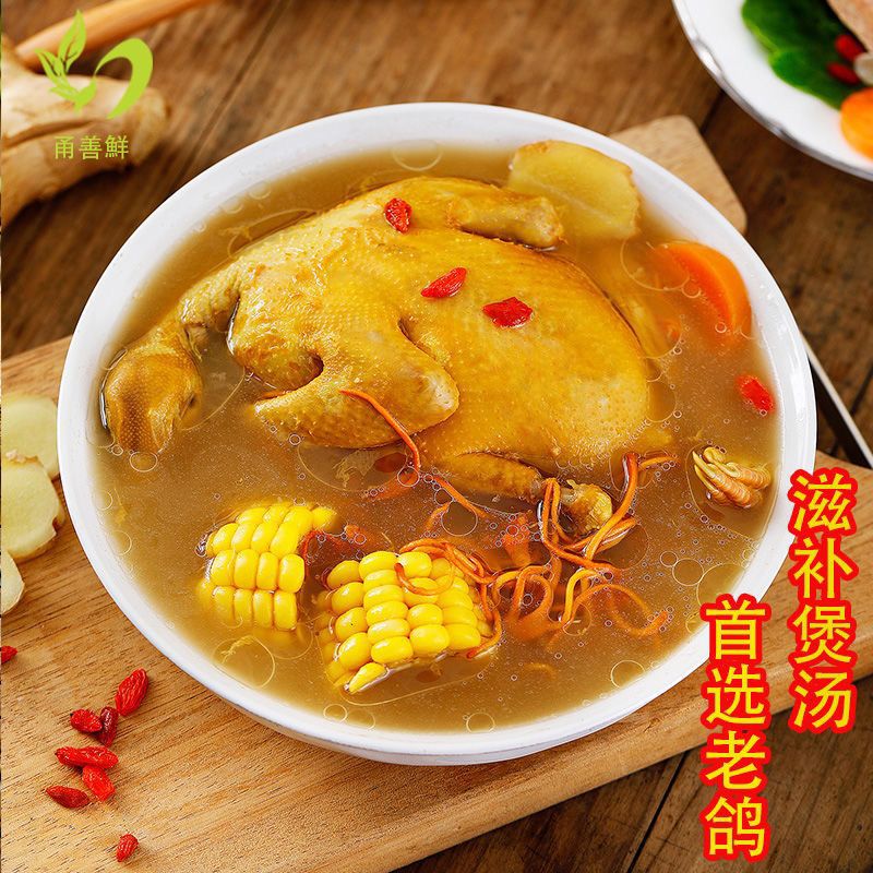 乳鸽批发现鸽活物肉鸽子生鲜土鸽子现杀现发乳鸽生鲜独立站速卖通