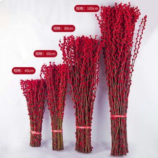 ���滨�r֦��������ˮ��ֲ��ɻ��tɫ���ܿ͏d��Ͱ�҃��b�