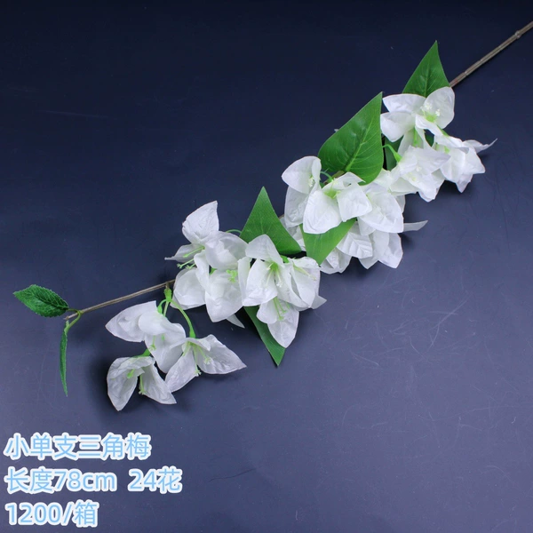 Small single-white