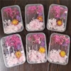 A box of pink flowers, 7-8 flowers, random varieties