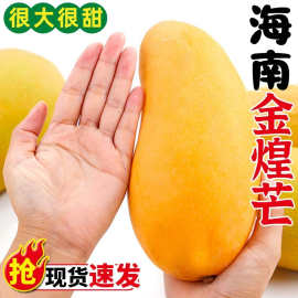 海南金煌芒果整箱9斤包邮新鲜现摘当季热带水果皮薄核小甜蜜多汁5