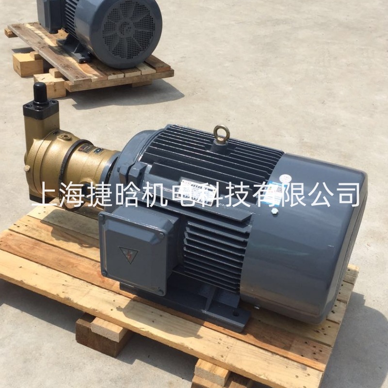 YQB180L-4-22KW 直连式油泵电机组 配CY14-1B柱塞泵电机