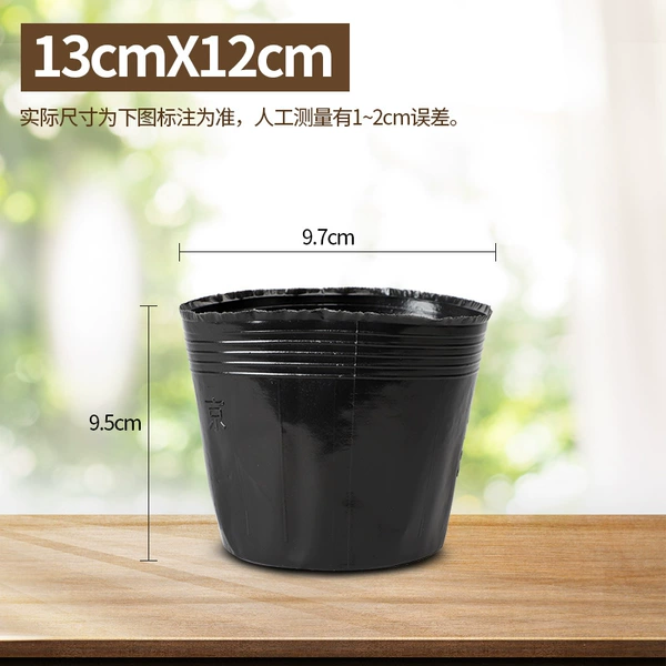 13 × 12 (500) real ruler 9.7*9.5