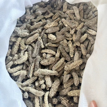 批发渠道黄玉参精选淡干黄肉参白玉参 菲律宾水发专用泡发率超高