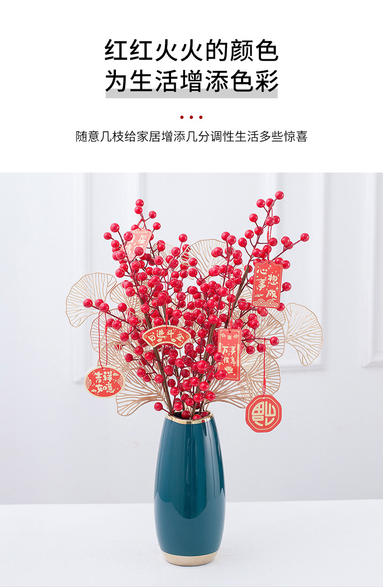 花瓶发财果详情_07