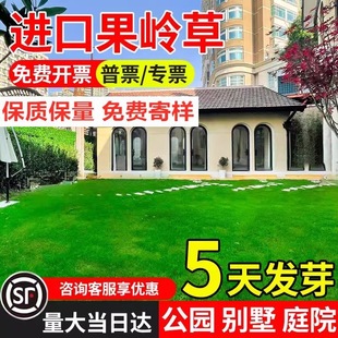 �M�ڹ��X�ݷN��ͥԺ�ߠ���������ò�ƺ�����ͺ����`̤�ļ������