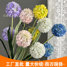 2头葱球婚庆仿真花绣球家居装饰花场景拍摄道具摆件假花