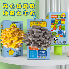 包邮蘑菇盒子礼盒平菇种植包食用菌娃娃绿植幼儿园养殖盒袋装礼物
