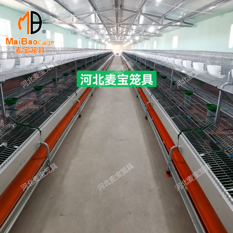 O1CN01uWGYID1P6mVb3WsYi_!!1950