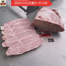 203tP˺ţ9+ţС ԭи߶˿ѩţŸel