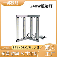 �羳�҃ȷNֲ240��ȫ���Vֲ�����̫ꖹ�С̖�Gֲ���ܷNֲ���L��