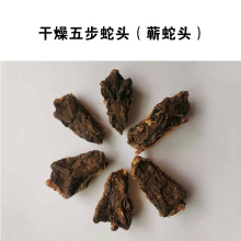 五步蛇头蕲蛇头