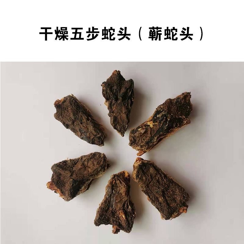 五步蛇头蕲蛇头