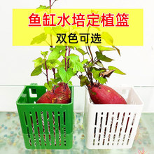 鱼缸水培篮定植篮壁挂式水草杯水上挺水植物红薯种植鱼缸造景装饰