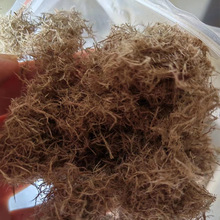 ľ�w�S ���ٹ�·�������� �Vɽ����ľ�|�w�S ���󃞻�