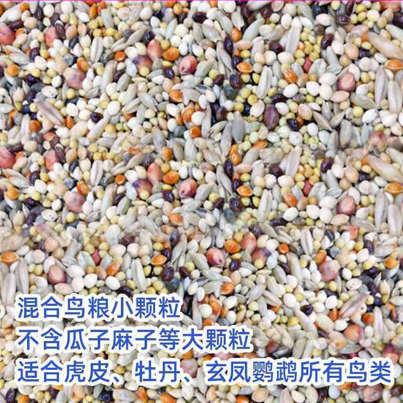 混合鳥の餌 鳥の餌 オウムの餌 タイガーピーチ 黒鳳凰 牡丹 五色雑穀 食品雑穀 250g シェル付き|undefined