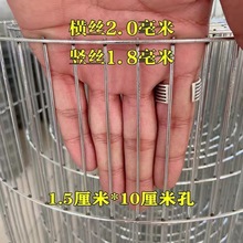 围栏铁丝网鸡笼渡锌钢丝网鸡圈兔子笼鸡鸭围栏网做鸟笼鸽子笼封窗