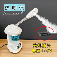 奔鵬熱噴顔器卓上噴霧補水器潤い顔香薫蒸顔器家庭用美容器卸売り