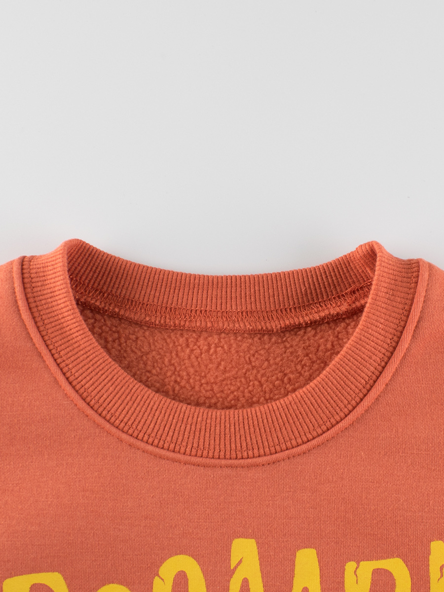 27kids Ropa infantil estilo coreano otoño e invierno nueva colección 2024 sudaderas infantiles ropa para niños dinosaurio tendencia mayorista transfronteriza image 4