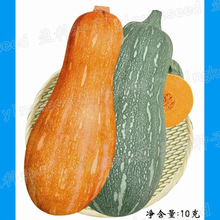 10���ϹϷN�� �V�|�۱��ϹϷN�� �ܱ��Ϲ��� ����ܛŴ��������