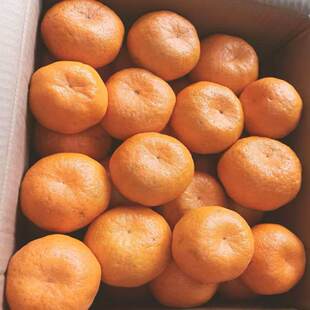 �Ĵ��ո� 450g~550g/��*3��