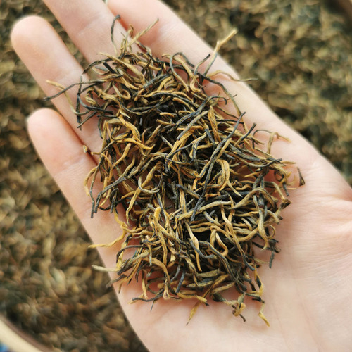 New Tea: Richly Fragrant Black Tea with Longan Flavor, Small-Leaf Variety, Loose-Packed for Wholesale—Golden Jun Mei Golden Bud Premium Grade, 500g