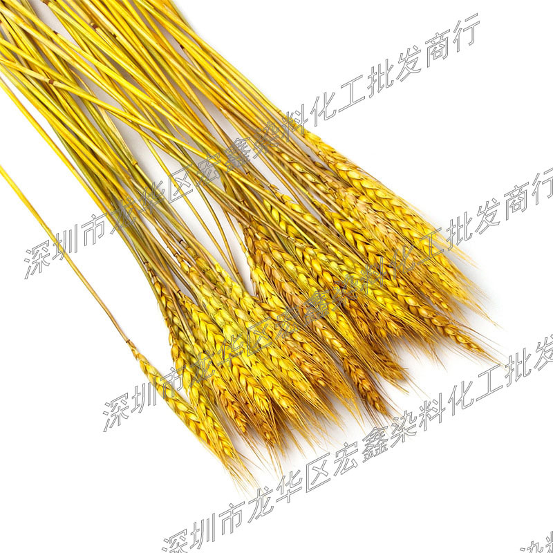 微信图片_20231230105753