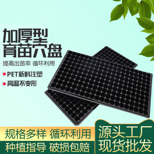 ���l�Ӻ�pet��������P �߲˶��������P�������������Ѩ�P
